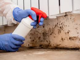 Best Mold Remediation for Healthcare Facilities  in Old Jefferson, LA